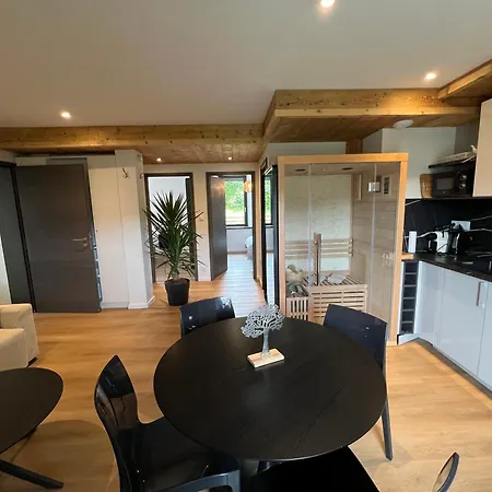 Superbe Neuf Avec Sauna Prive & Terrasse Vue Sur La Montagne La Bresse